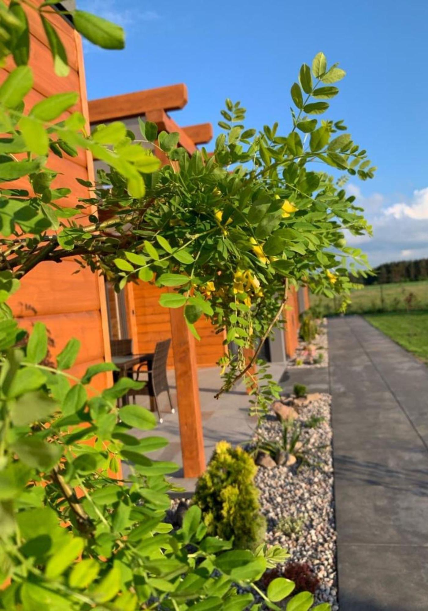 Cisza Bungalows Village / Blisko Natury Nowecin エクステリア 写真
